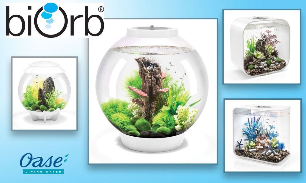 Wholesale Pond Supplies