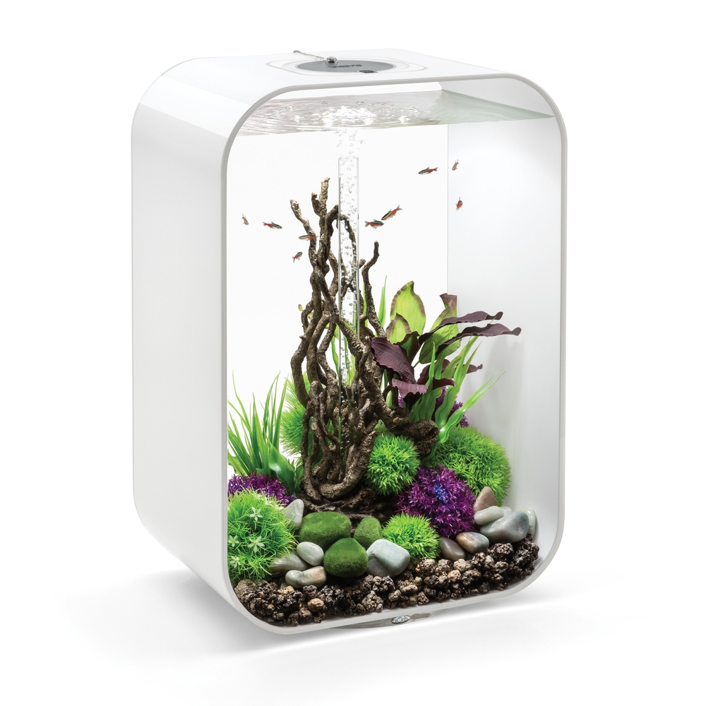 biOrb LIFE 60 Aquarium with MCR 16 gallon White biOrb