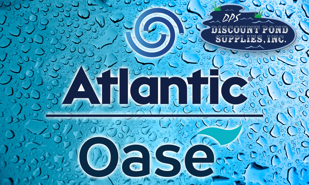 ATLANTIC | OASE