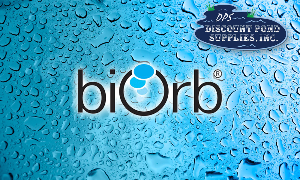 BIORB