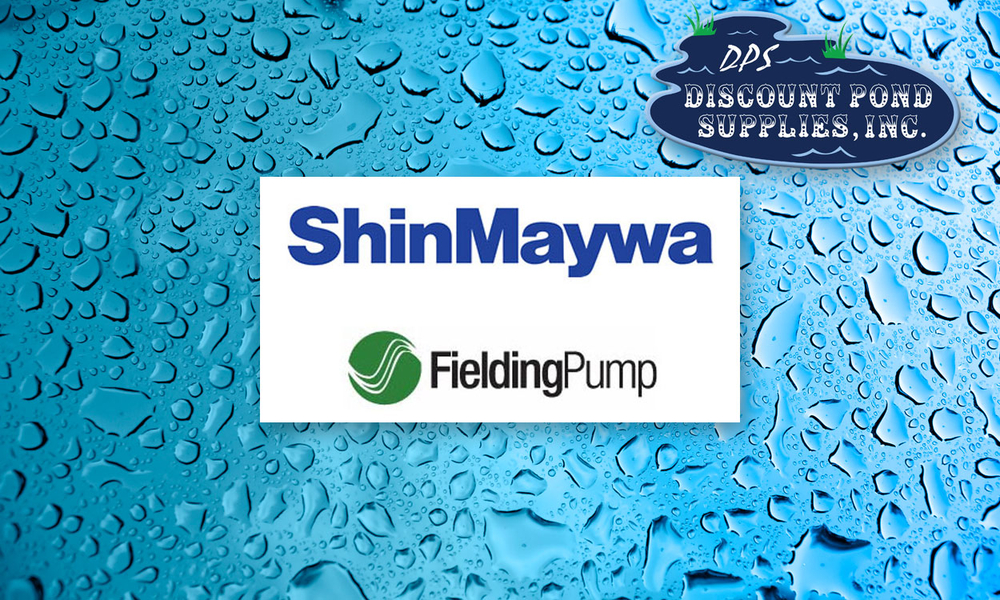 SHINMAYA