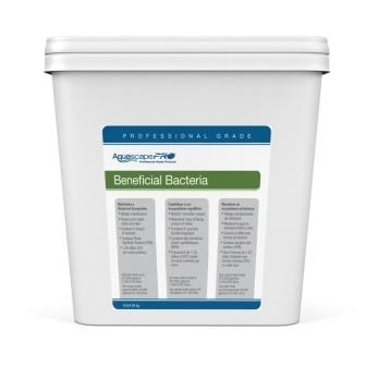 30407 Aquascape Beneficial Bact Pond dry | Bacteria