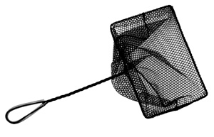 Mini Pond Net with 12inch Twisted Handle 10x7 | Nets