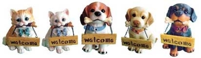 Alpine Welcome Kittens and Puppies | Clearance Items
