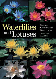 Waterlilies and Lotuses | Books