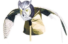 Bird-X Prowler Owl | Pest Control
