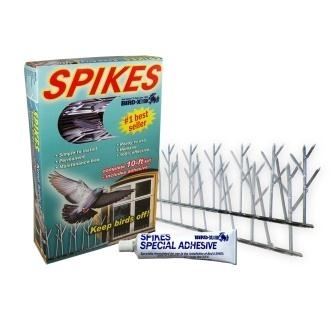 Bird-X 10 Ft. Polycarbonate Bird Spikes | Pest Control