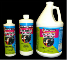 Clear Pond Liquid BSL Formula | Bacteria