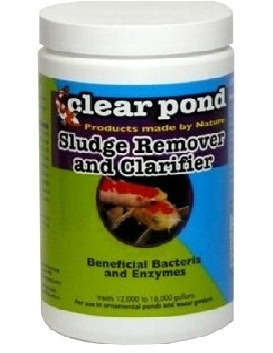 Clear Pond High Potency Dry Formula | Bacteria