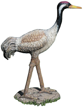 CobraCo Crane | CobraCo