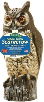 Great Horned Owl | Decoys