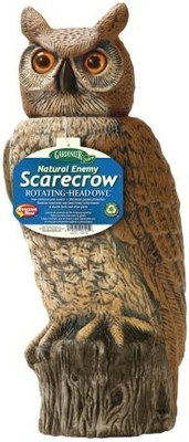 Rotating Head Owl | Decoys