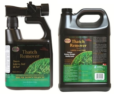 Thatch Remover | Others