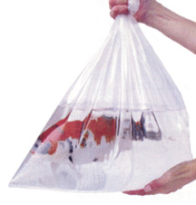 Fish Bags | Fish Care