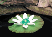 Floating Animal Lily Lights - Turtle | Halogen