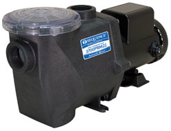 Sequence Premier Champion Model Pumps | External