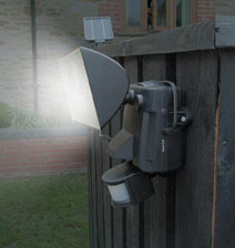 Solar Motion-Activated Security Light | Clearance Items