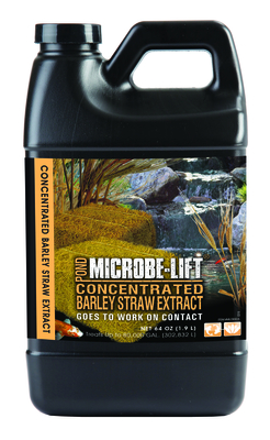 Microbe-Lift Barley Straw Concentrated Extract | Barley Products