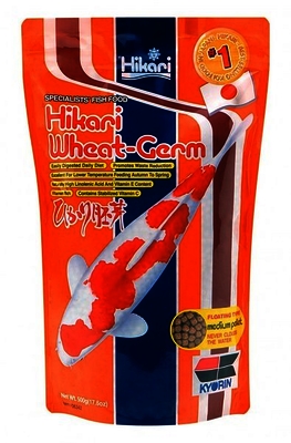 Hikari Wheat Germ Food | Food