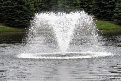 North Star 1.5, 2 & 3 hp 230v | Floating Fountains
