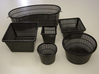 Plant Baskets | Containers