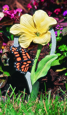 CobraCo Tulip/Butterfly Stake | CobraCo