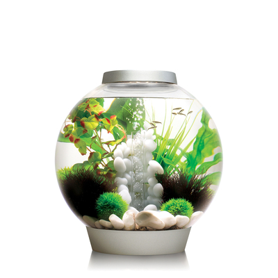biOrb Classic 30L Aquarium with LED | Aquarium/Indoor Aquatics