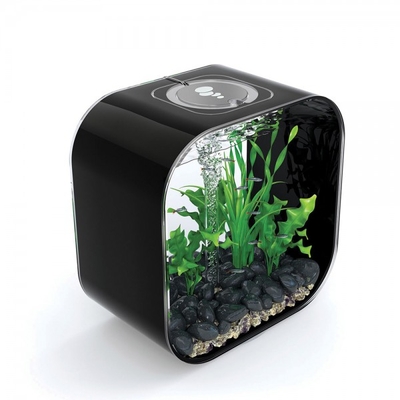 biOrb Life 30L Aquarium with MCR Lighting - Black | Aquarium/Indoor Aquatics