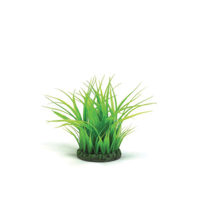 biOrb Grass Ring | biOrb