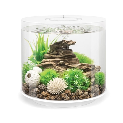 biOrb TUBE 15 MCR White 45934 | Aquarium/Indoor Aquatics