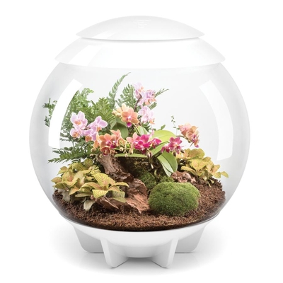 biOrbAIR 60 LED Terrarium - 16 gallon White 46147 | New Products