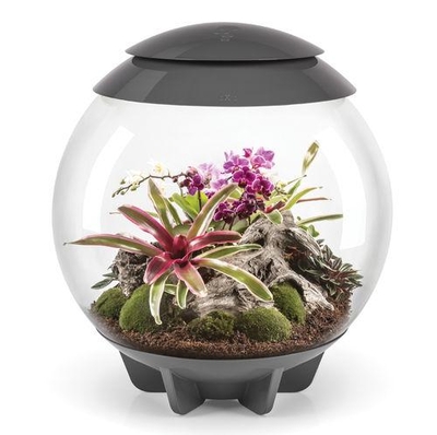 biOrbAIR 60 LED Terrarium - 16 gallon Grey 46148 | Oase-biOrb Clearance