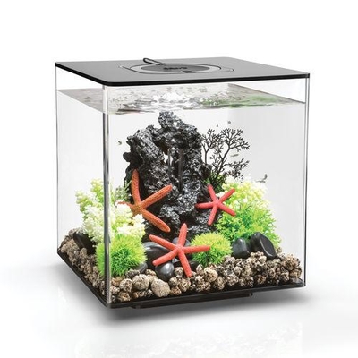 biOrb CUBE 30 Aquarium - 8 gallon LED Black 54484 | New Products