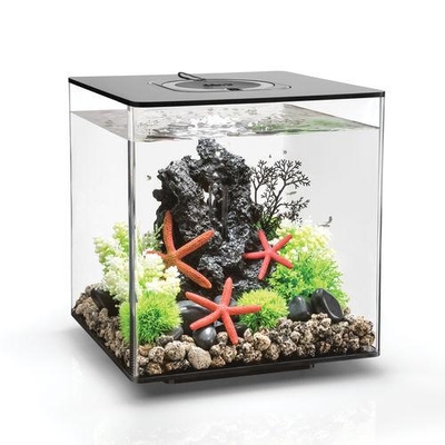 biOrb CUBE 30 Aquarium - 8 gallon LED Black 54484 | Oase-biOrb Clearance