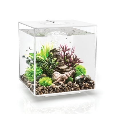 biOrb CUBE 30 Aquarium - 8 gallon LED White  54490 | Oase-biOrb Clearance