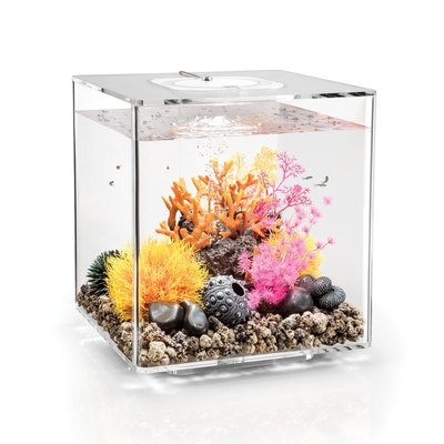 biOrb CUBE 30 Aquarium - 8 gallon LED Transparent  54495 | New Products