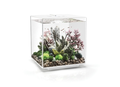 biOrb CUBE 60 Aquarium with MCR - 16 gallon White 72028 | New Products