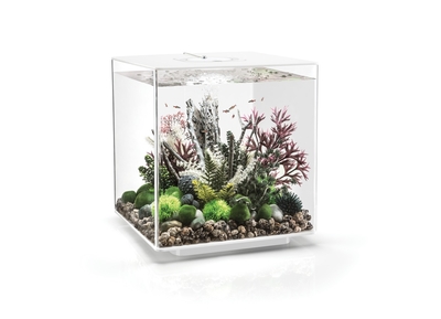 biOrb CUBE 60 Aquarium with MCR - 16 gallon White 72028 | Oase-biOrb Clearance