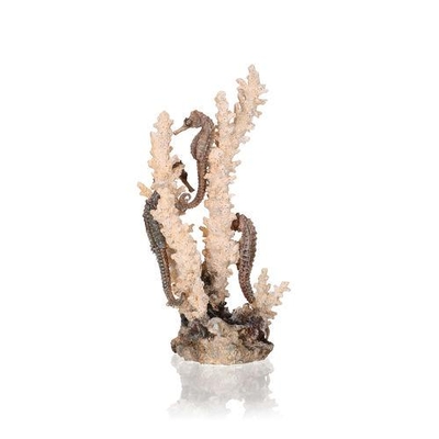 biOrb Seahorses on Coral Sculpture med/large natural 55039 | biOrb