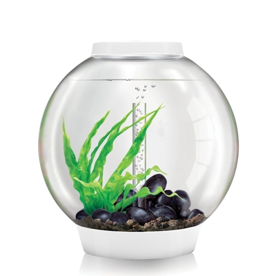 biOrb CLASSIC 60 Aquarium - 16 gallon Silver | Oase-biOrb Clearance