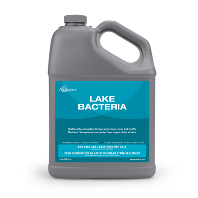 Lake Bacteria - 1 gal | Bacteria