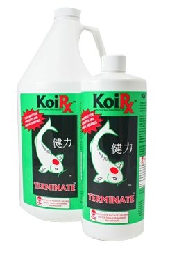 TERMINATE koi treatment for pond parasites | AQUA MEDS