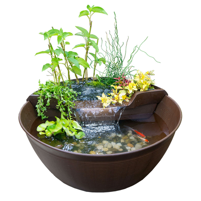 AquaGarden Mini Pond Kit | Aquascape