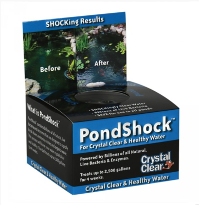 CC023-PS PondShock Ball | Bacteria