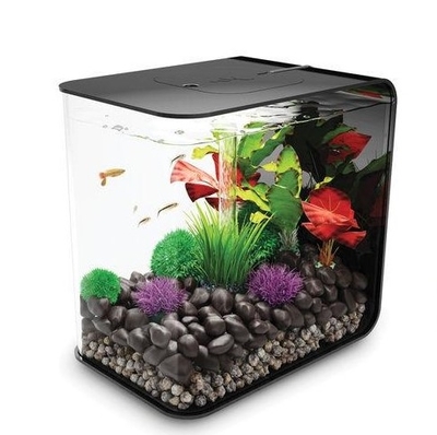 FLOW 30 Aquarium Black with Standard Light - 8 gallon | Oase-biOrb Clearance