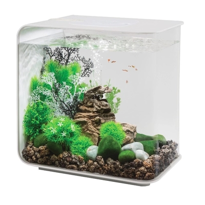 FLOW 30 Aquarium White with Standard Light - 8 gallon | biOrb