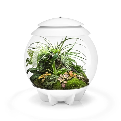 AIR 30 LED Terrarium - 8 gallon White | Aquarium/Indoor Aquatics