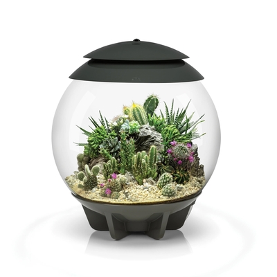 AIR 30 LED Terrarium - 8 gallon GREY | biOrb