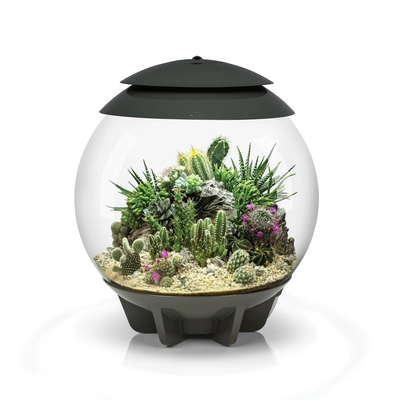 AIR 30 LED Terrarium - 8 gallon GREY | Oase-biOrb Clearance