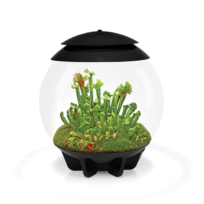 AIR 30 LED Terrarium - 8 gallon BLACK | Oase-biOrb Clearance